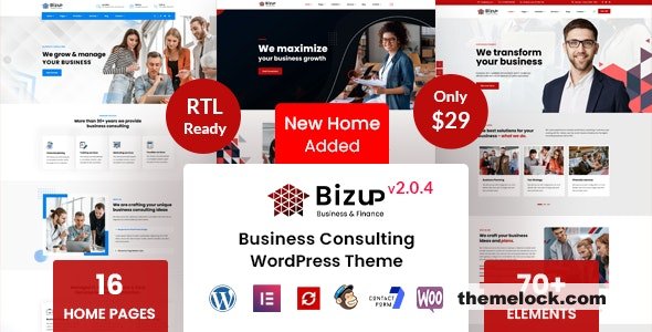 Bizup v2.1.6 - Business Consulting WordPress Theme
