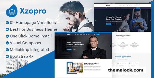 Xzopro v1.1.8 – Finance And Business WordPress Theme