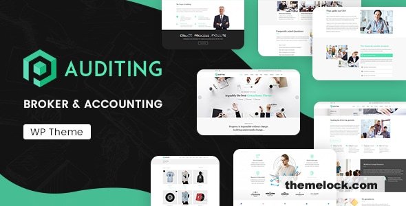 Auditing v3.3 – Accounting Consultant, Finance WordPress Theme