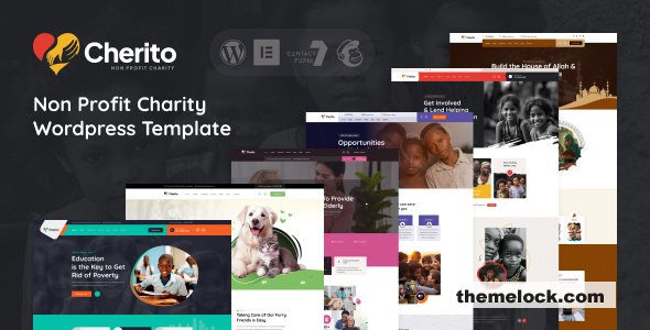 Cherito v1.0.0 - Non Profit Charity WordPress Theme